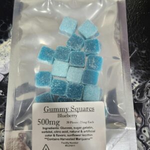 Blueberry Gummies 500mg