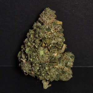 Gorilla Glue #4 (GG4)