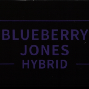 Blueberry Jones-LUXE 1g Screw Top Cartridge
