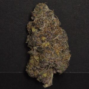 Star Pupil #1